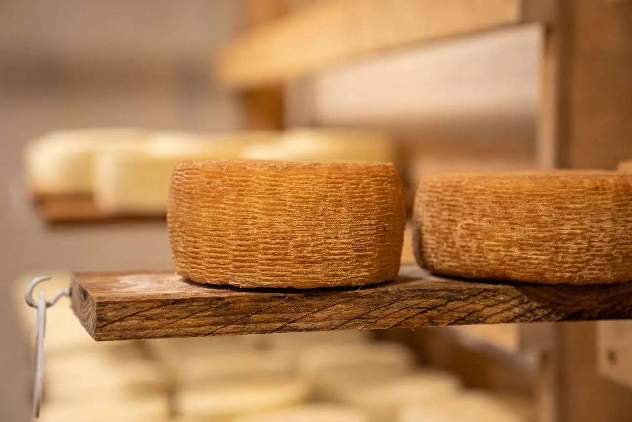 水滴英语小短文，用阅读记住10000单词（奶制品主题 Rind 奶酪外皮，高效记单词）