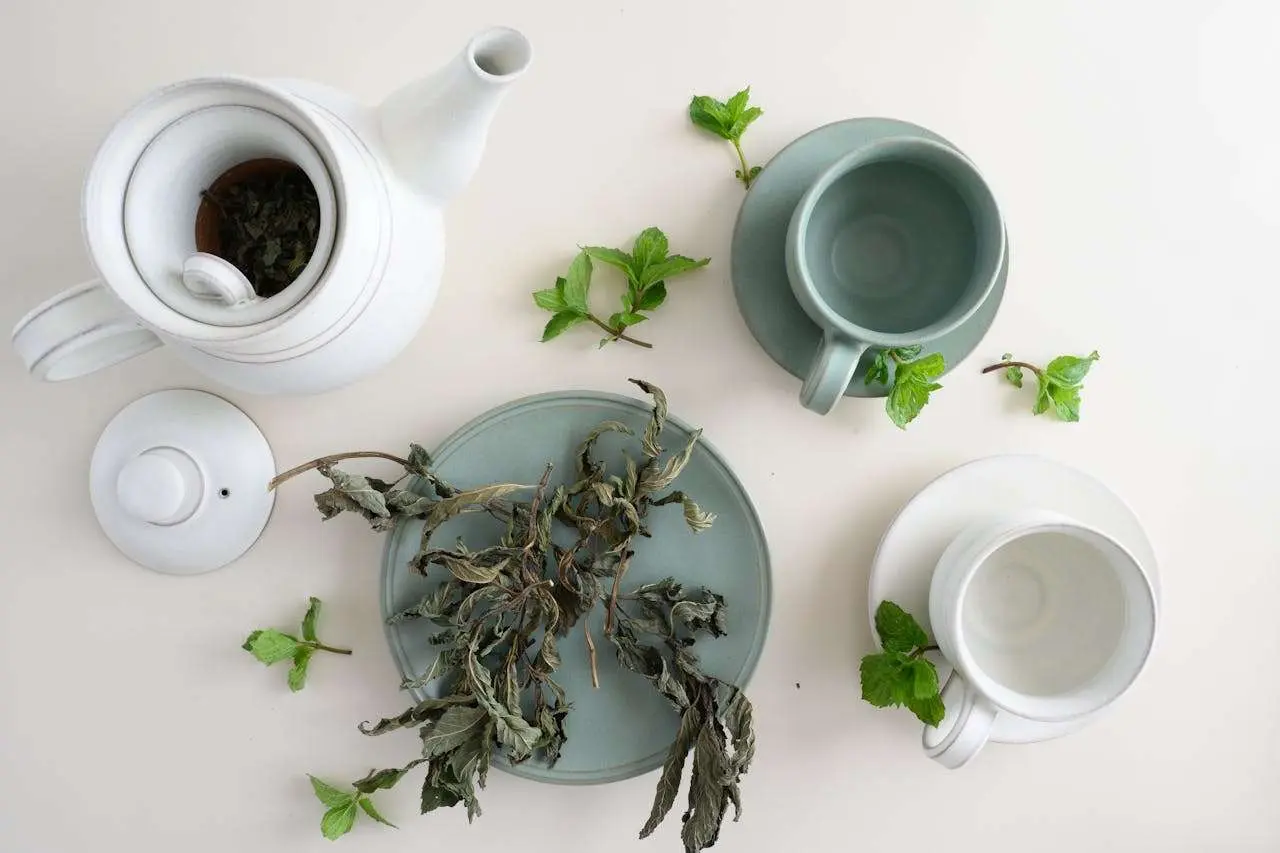 水滴英语小短文，用阅读记住10000单词（茶叶类主题 mint tea 薄荷茶，高效记单词）