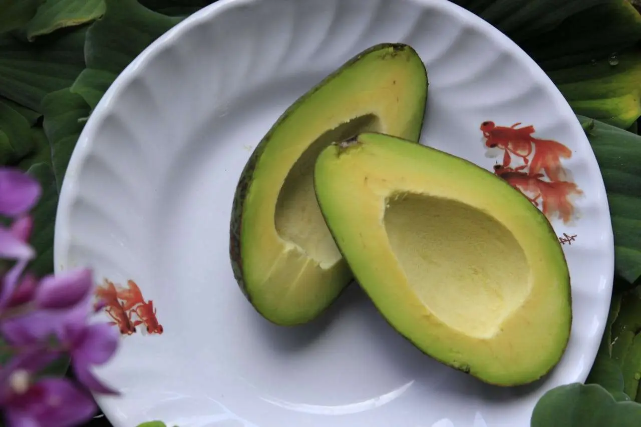 水滴英语小短文，用阅读记住10000单词（蔬菜类主题 avocados 牛油果，高效记单词）
