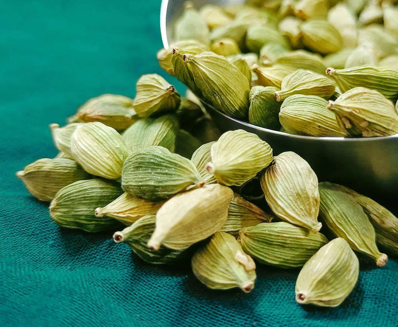 水滴英语小短文，用阅读记住10000单词（香料类主题cardamom 小豆蔻，高效记单词）