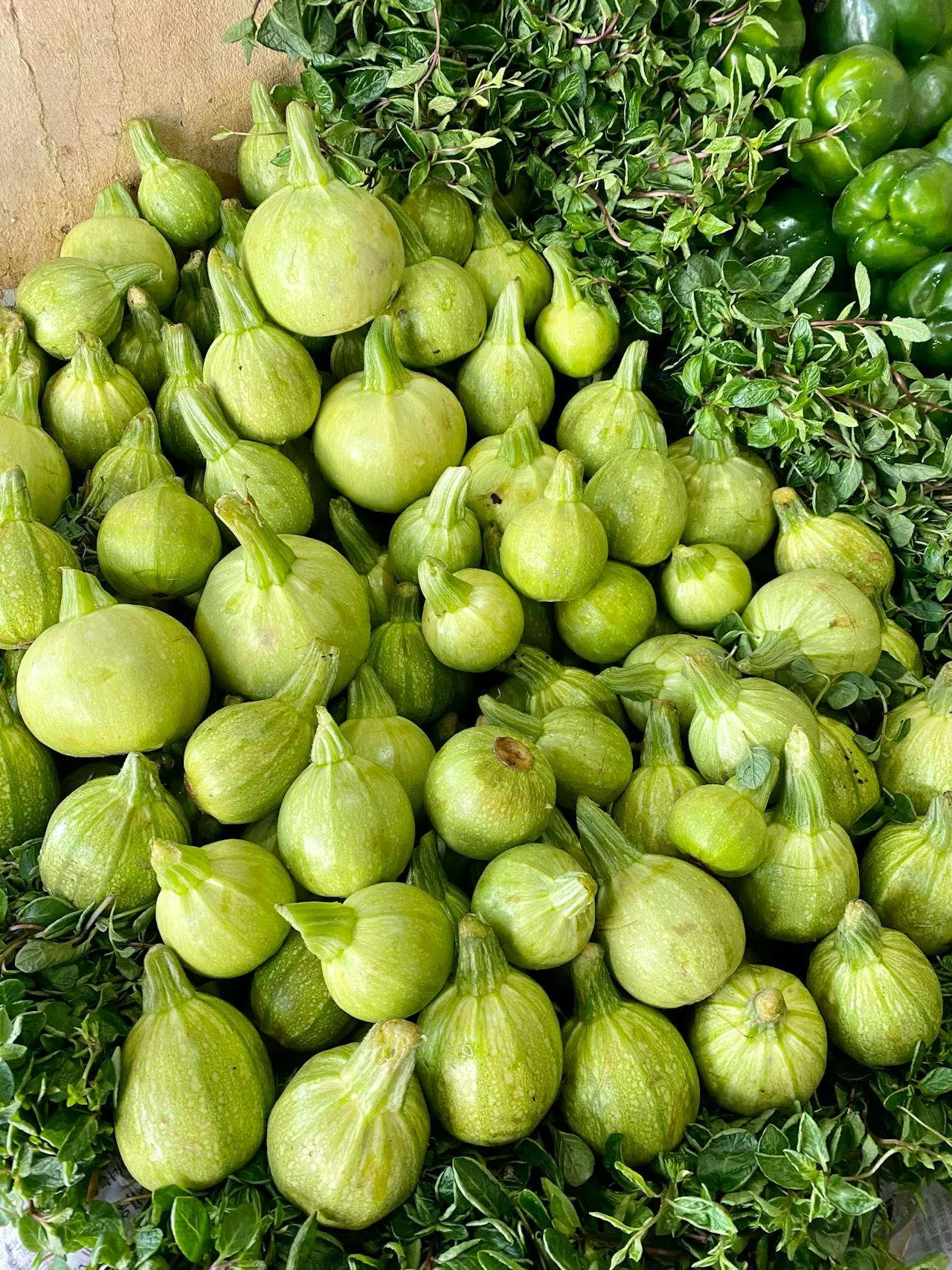 水滴英语小短文，用阅读记住10000单词（蔬菜类主题 courgettes 西葫芦，高效记单词）