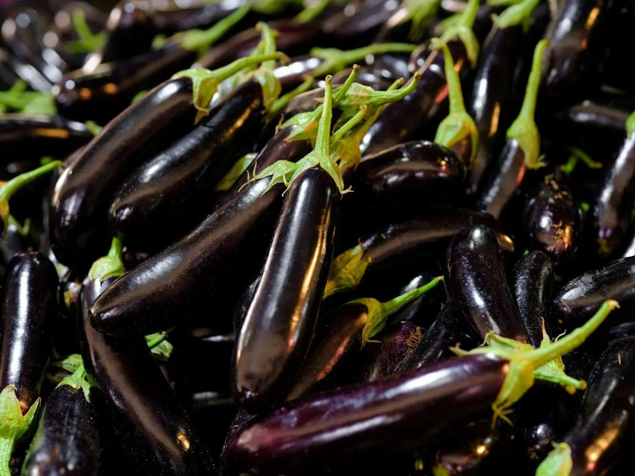 水滴英语小短文，用阅读记住10000单词（蔬菜类主题 aubergines 茄子，高效记单词）