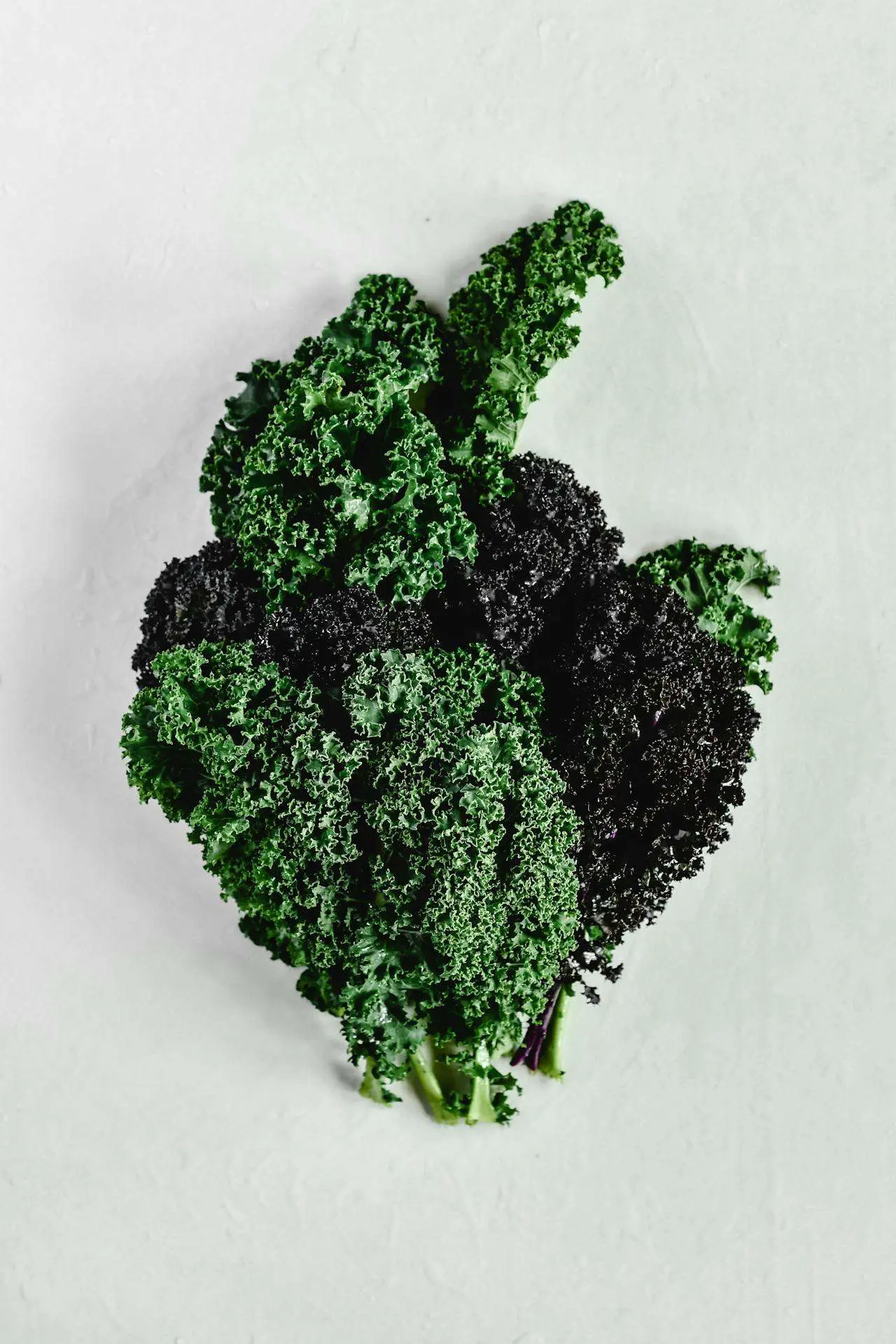 水滴英语小短文，用阅读记住10000单词（蔬菜类主题frisée碎叶菊苣，高效记单词）