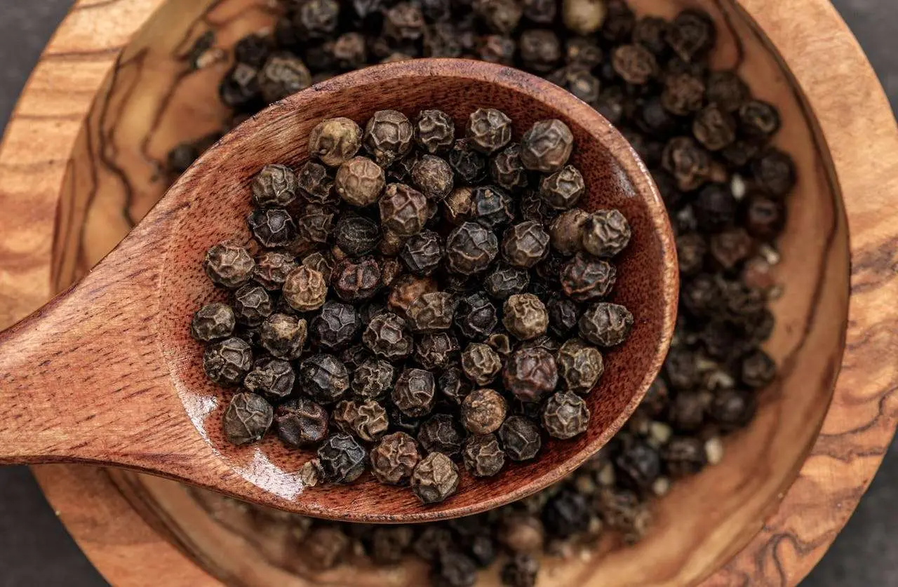 水滴英语小短文，用阅读记住10000单词（香料类主题 peppercorns 胡椒粒，高效记单词）