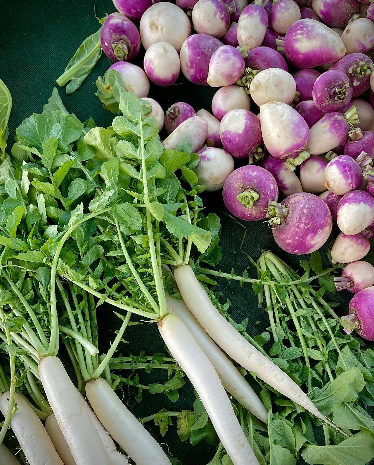 水滴英语小短文，用阅读记住10000单词（蔬菜类主题 turnips 芜菁/萝卜，高效记单词）