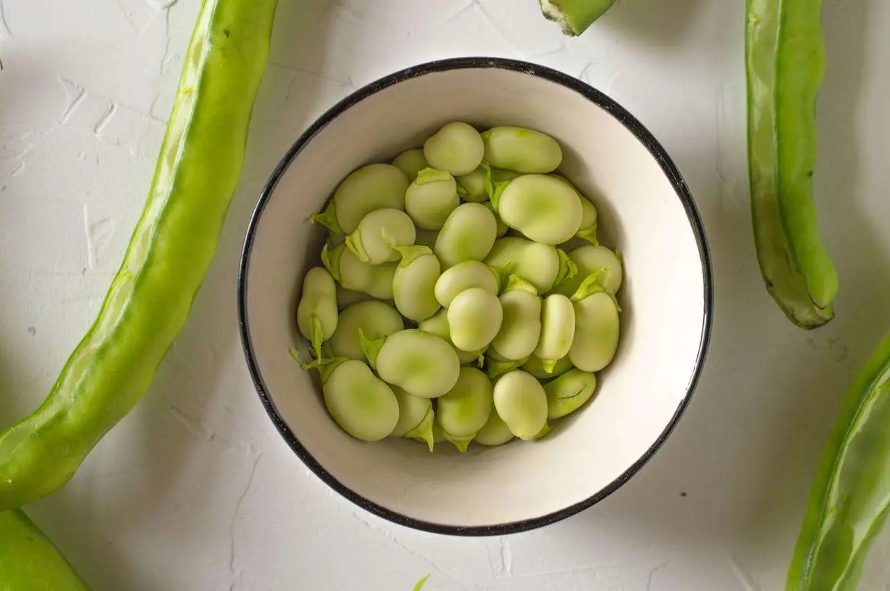 水滴英语小短文，用阅读记住10000单词（蔬菜类主题 broad beans 蚕豆，高效记单词）