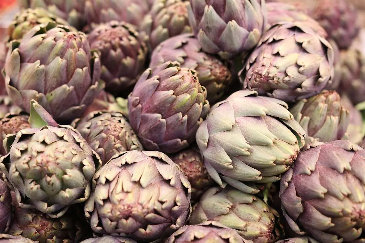 水滴英语小短文，用阅读记住10000单词（蔬菜类主题 artichoke heart 洋蓟心，高效记单词）