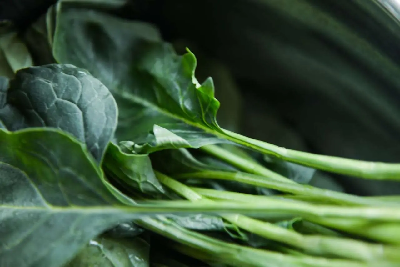 水滴英语小短文，用阅读记住10000单词（蔬菜类主题spinach菠菜，高效记单词）