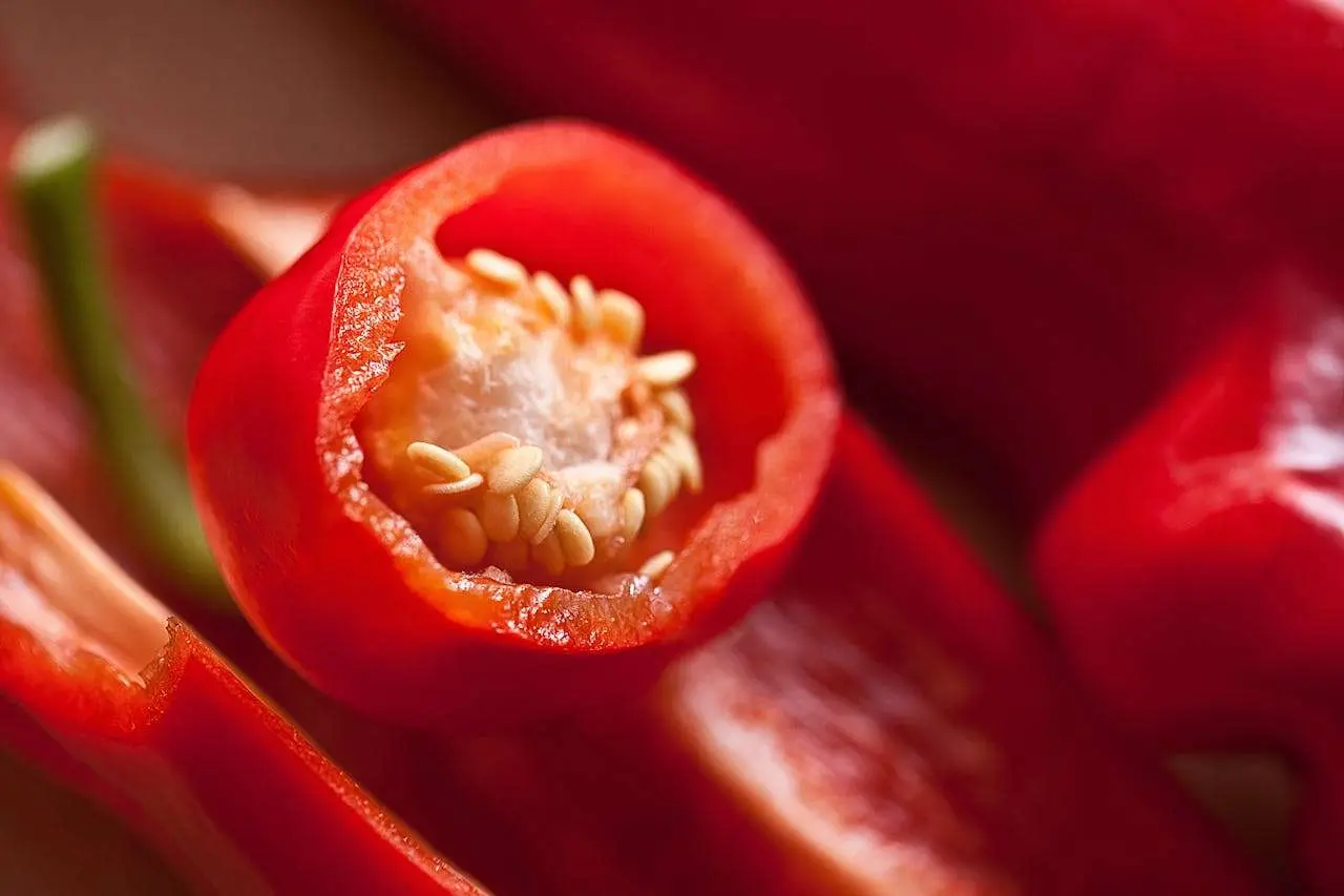 水滴英语小短文，用阅读记住10000单词（食品类主题 Chillies 辣椒，轻松记单词）
