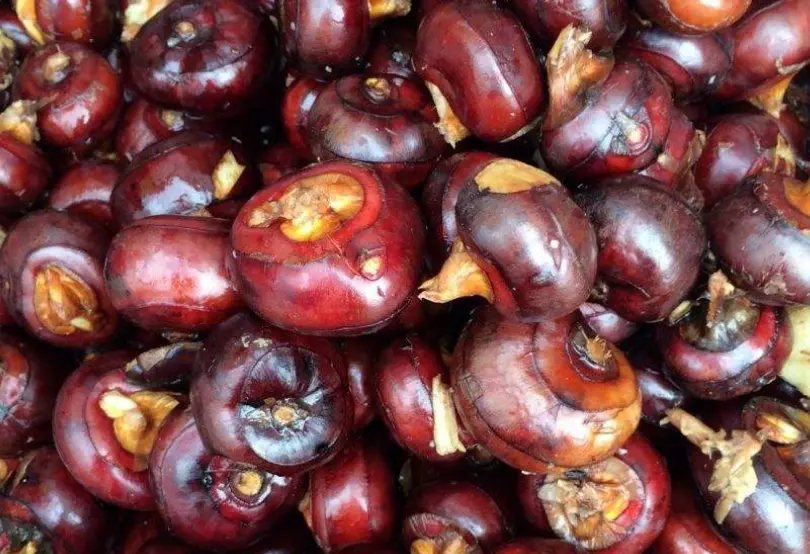 水滴英语小短文，用阅读记住10000单词（蔬菜类主题 water chestnuts 马蹄/荸荠，高效记单词）