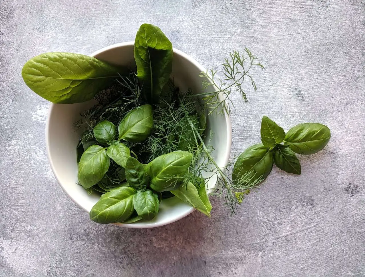 水滴英语小短文，用阅读记住10000单词（香料植物类主题 basil罗勒，高效记单词）