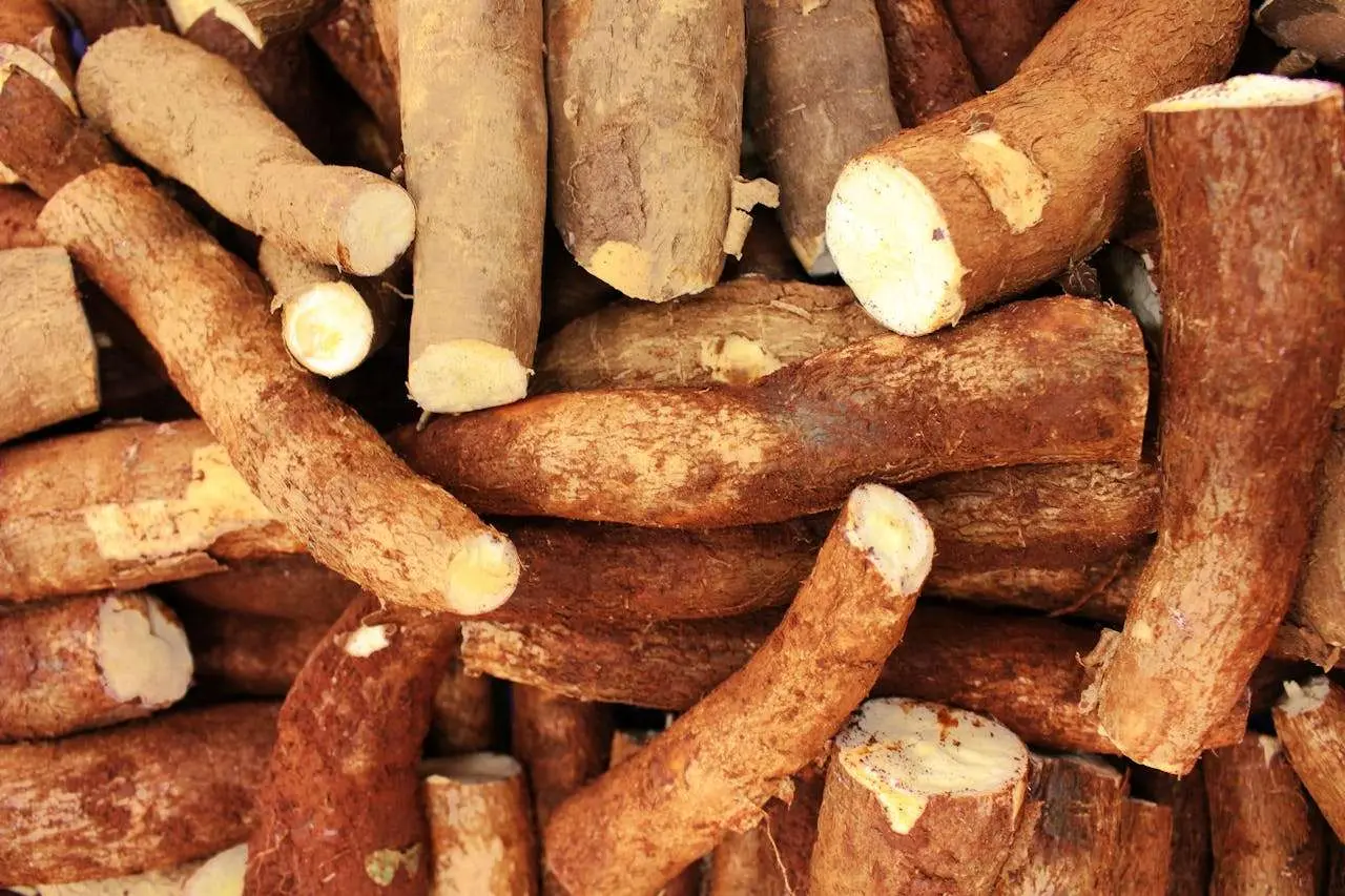 水滴英语小短文，用阅读记住10000单词（蔬菜类主题 yams 山药、高效记单词）