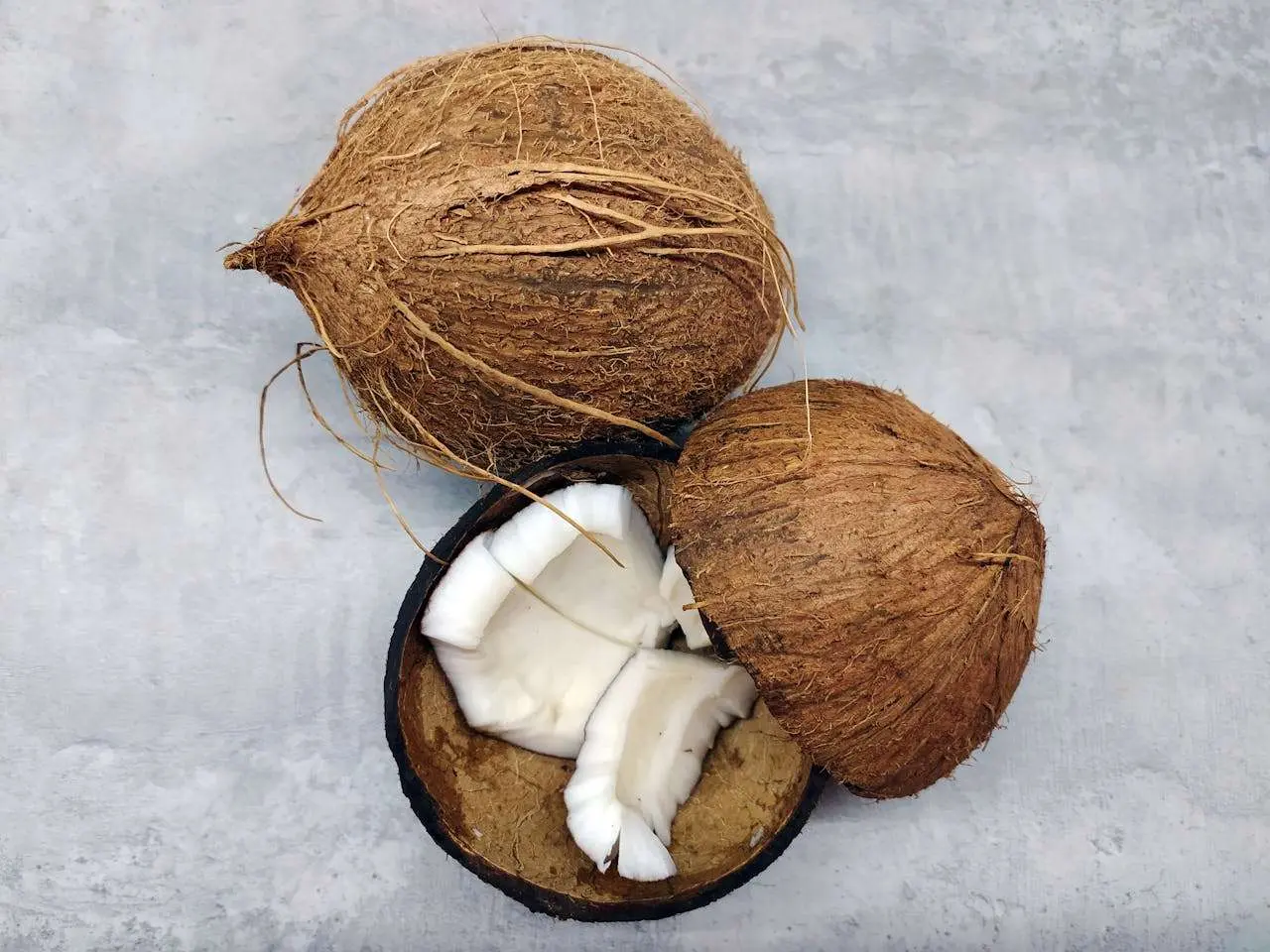 水滴英语小短文，用阅读记住10000单词（水果类主题 coconut shell 椰壳，高效记单词）