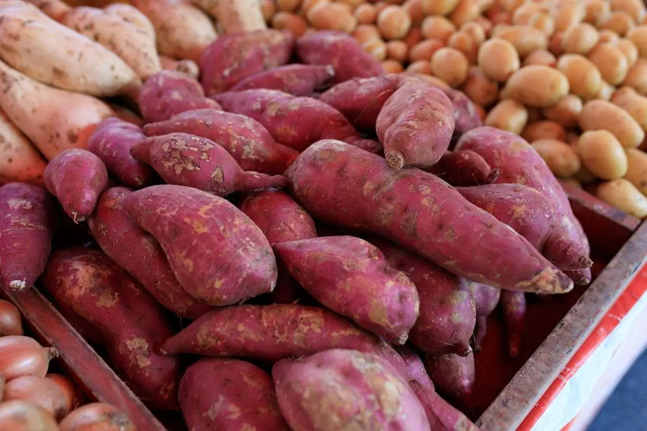 水滴英语小短文，用阅读记住10000单词（蔬菜类主题 sweet potatoes 红薯，高效记单词） 