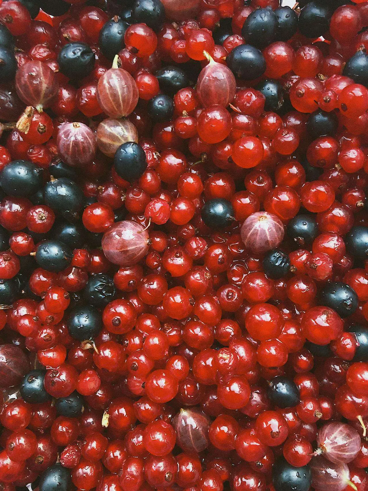 水滴英语小短文，用阅读记住10000单词（水果类主题 gooseberry 醋栗，高效记单词）