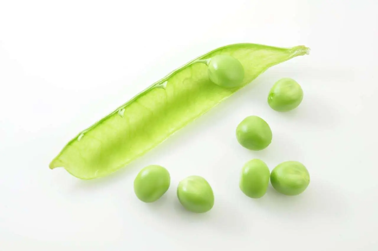 水滴英语小短文，用阅读记住10000单词（蔬菜类主题pod豆荚，高效记单词）