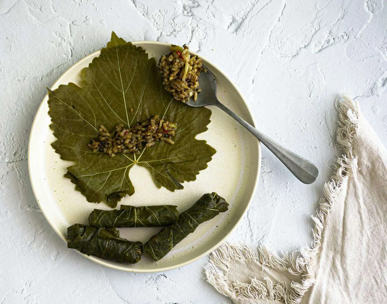 水滴英语小短文，用阅读记住10000单词（食品类主题 Stuffed Vine Leaves 葡萄叶包饭，轻松记单词）