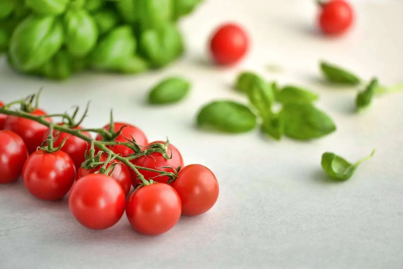 水滴英语小短文，用阅读记住10000单词（蔬菜类主题 cherry tomatoes 樱桃番茄，高效记单词）