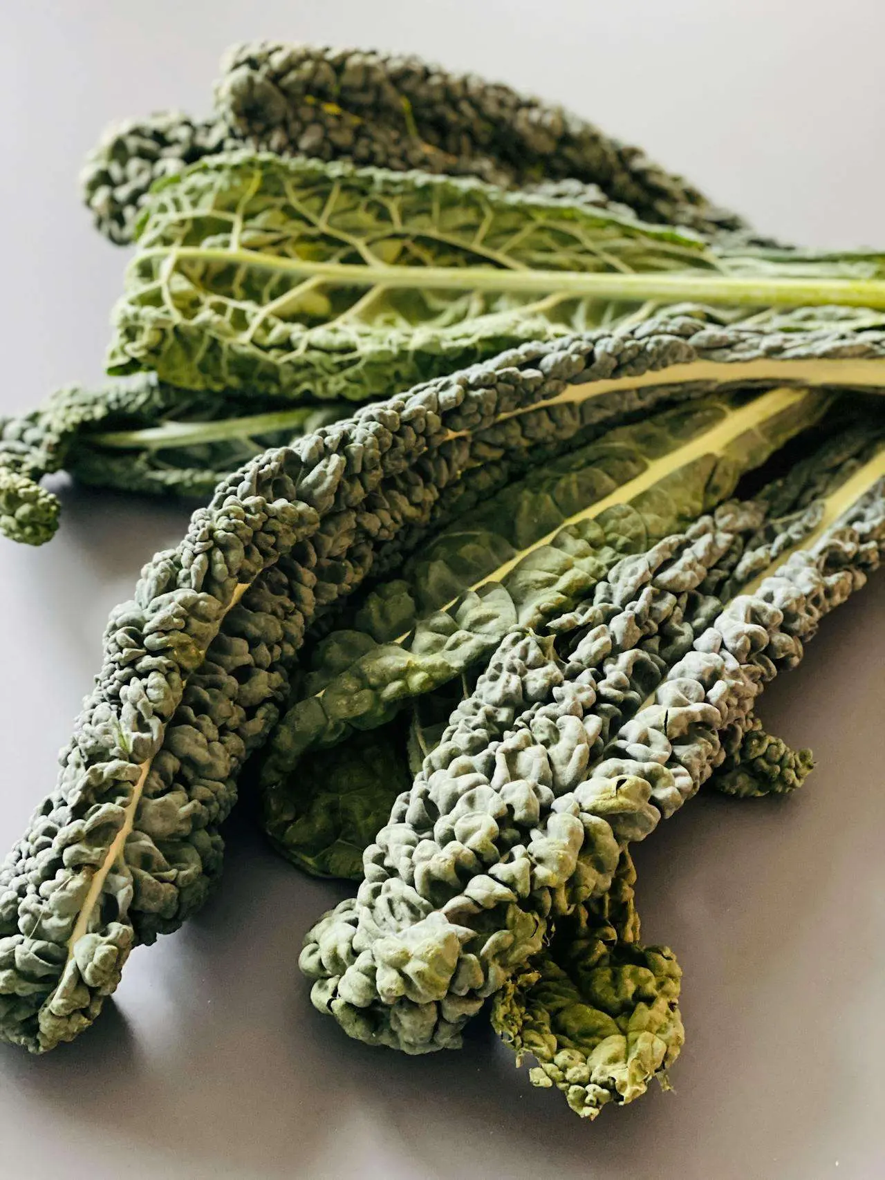 水滴英语小短文，用阅读记住10000单词（蔬菜类主题cavolo nero黑甘蓝，高效记单词）