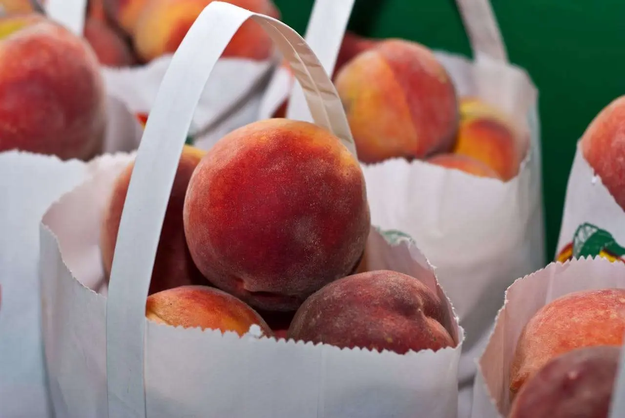 水滴英语小短文，用阅读记住10000单词（水果类主题 peach 桃子，高效记单词）