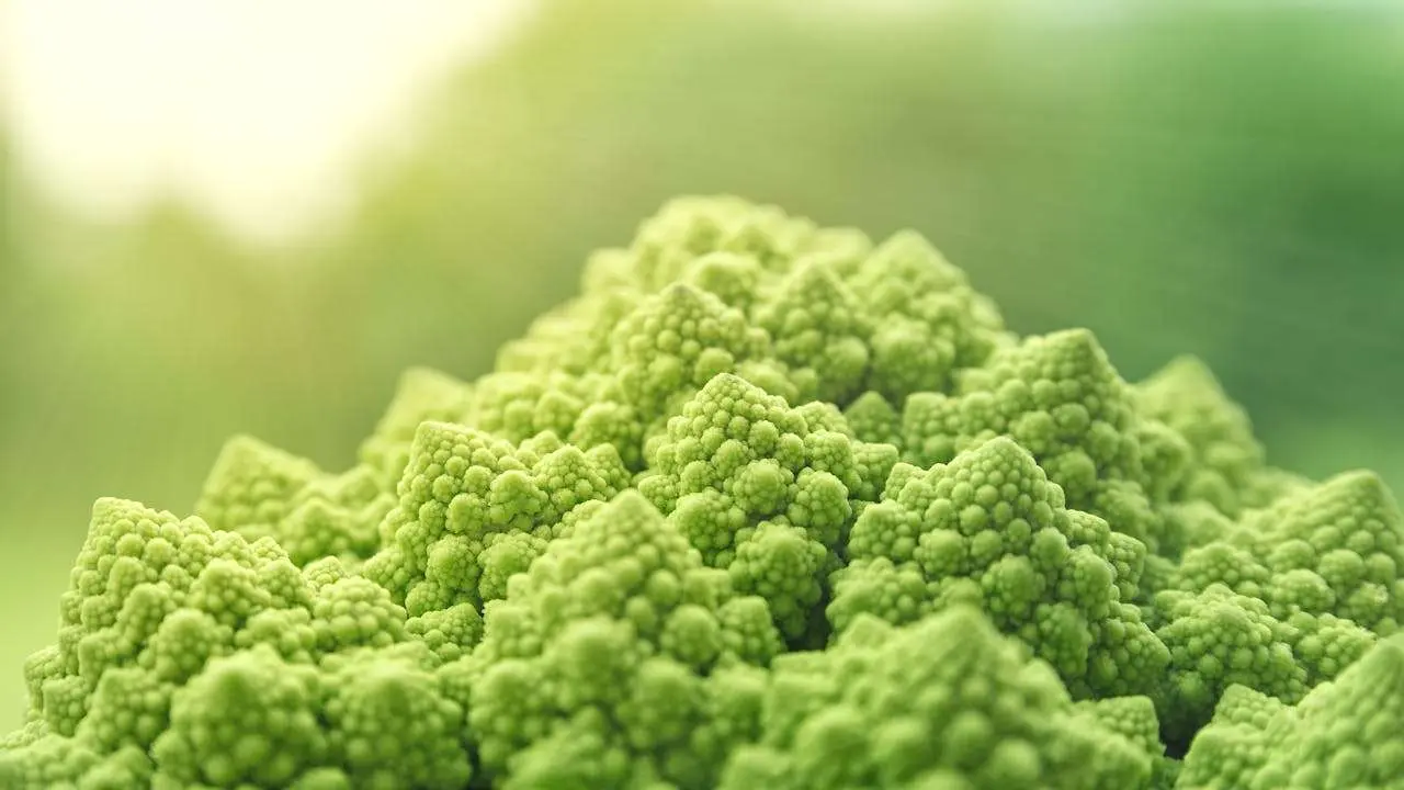 水滴英语小短文，用阅读记住10000单词（蔬菜类主题floret小花球，高效记单词）