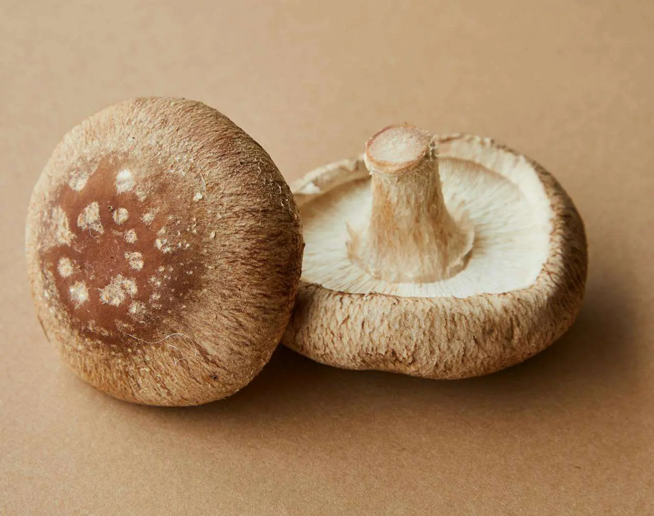 水滴英语小短文，用阅读记住10000单词（蔬菜类主题 shiitake mushrooms 香菇，高效记单词）