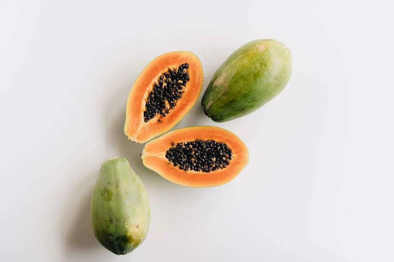 水滴英语小短文，用阅读记住10000单词（水果类主题 papaya 番木瓜，高效记单词）