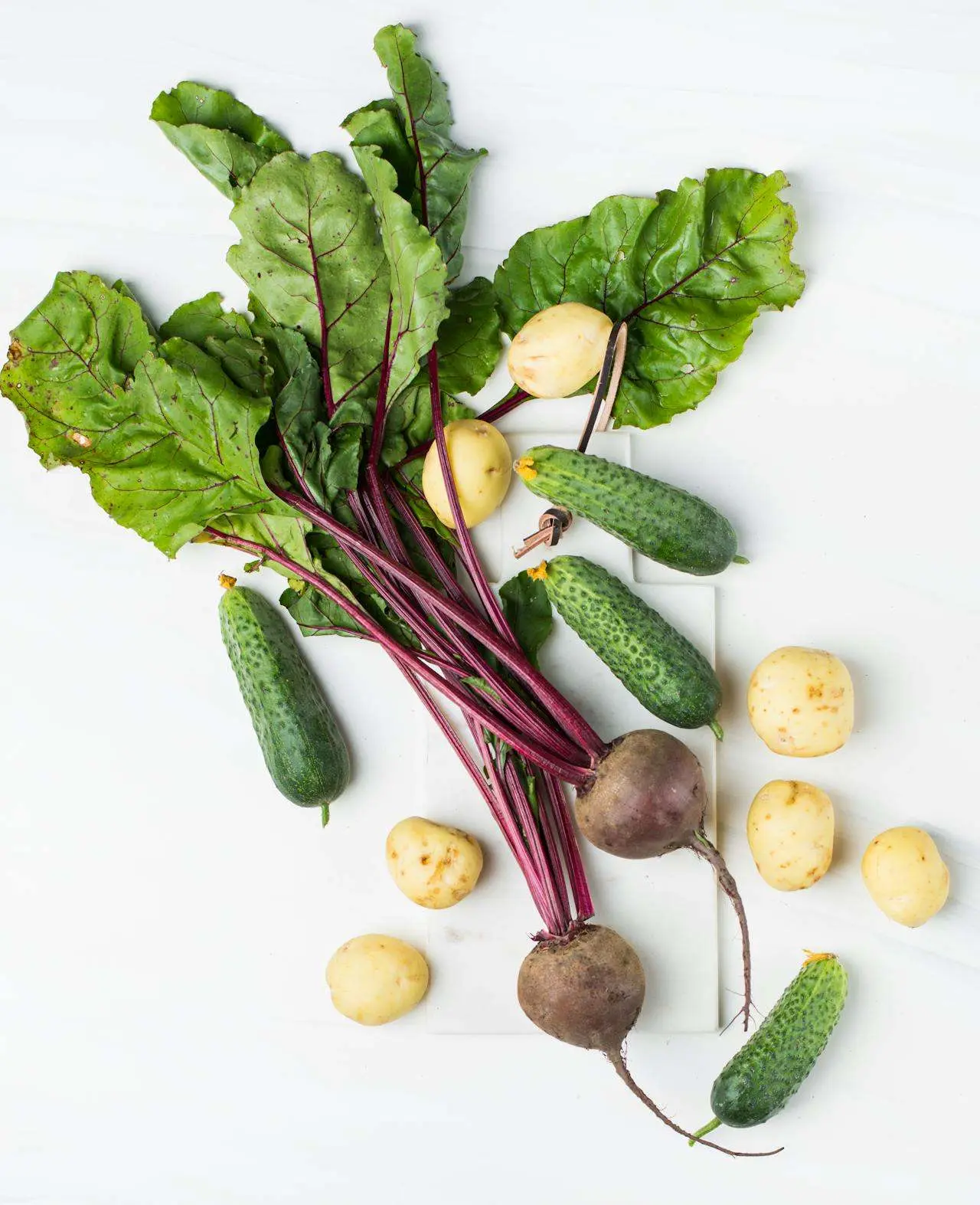 水滴英语小短文，用阅读记住10000单词（蔬菜类主题beet leaves甜菜叶，高效记单词）