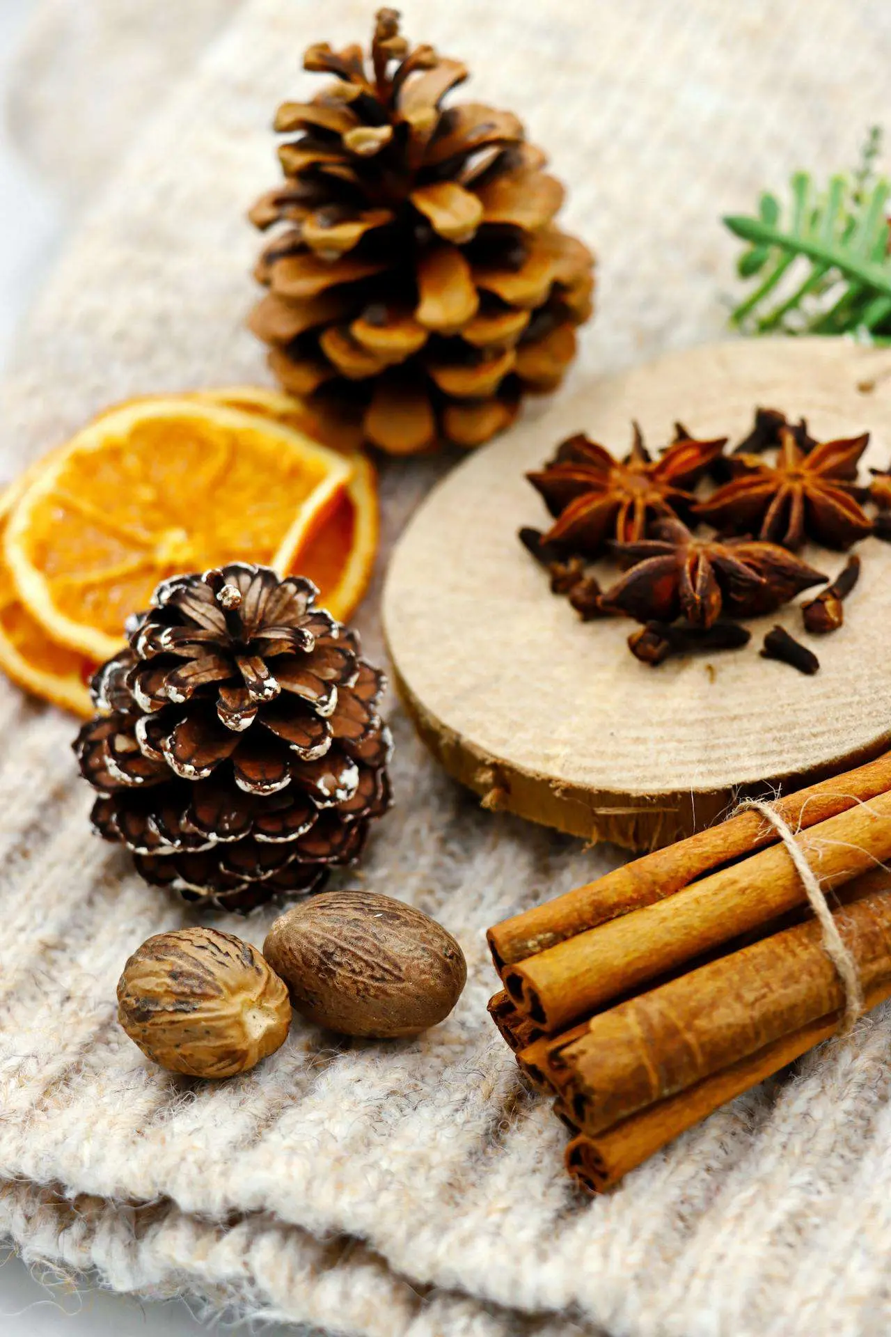 水滴英语小短文，用阅读记住10000单词（香料类主题 nutmeg 肉豆蔻，高效记单词）