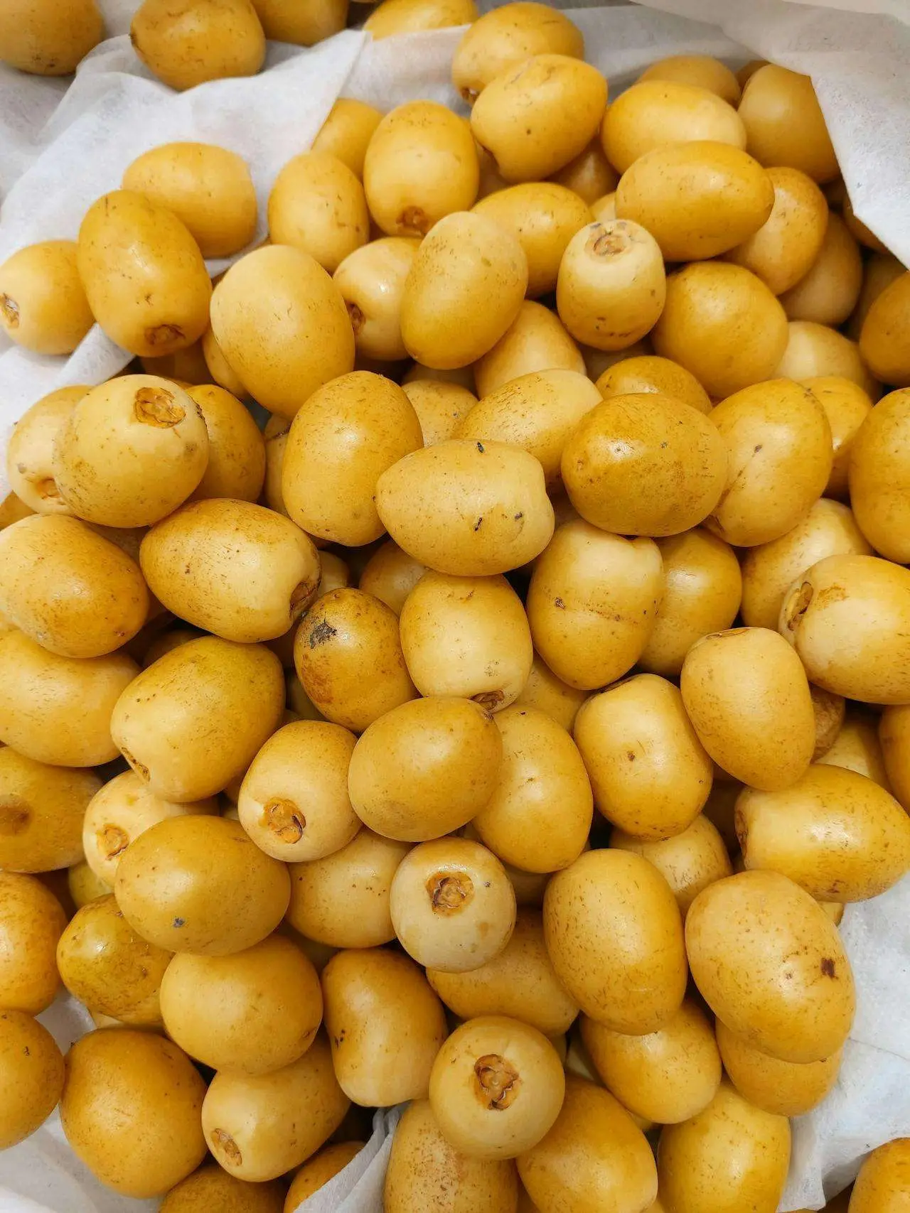水滴英语小短文，用阅读记住10000单词（蔬菜类主题 new potatoes 新土豆，高效记单词）