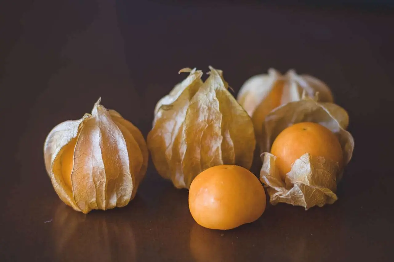 水滴英语小短文，用阅读记住10000单词（水果类主题 cape gooseberry 灯笼果，高效记单词）