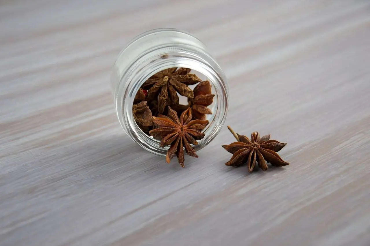 水滴英语小短文，用阅读记住10000单词（香料类主题 anise 八角，高效记单词）