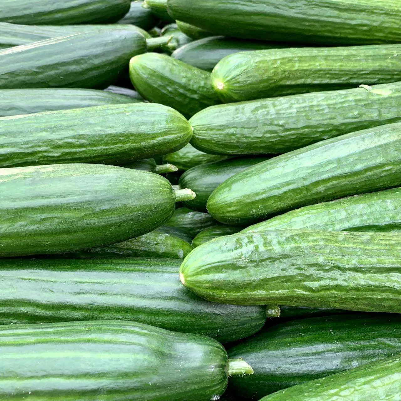 水滴英语小短文，用阅读记住10000单词（蔬菜类主题 cucumber 黄瓜，高效记单词）