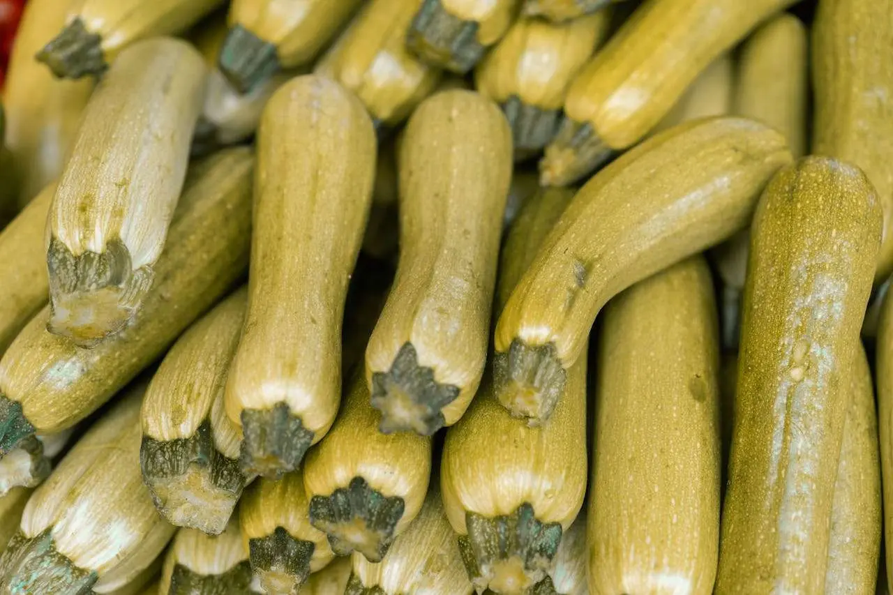 水滴英语小短文，用阅读记住10000单词（蔬菜类主题 marrows 西葫芦，高效记单词）