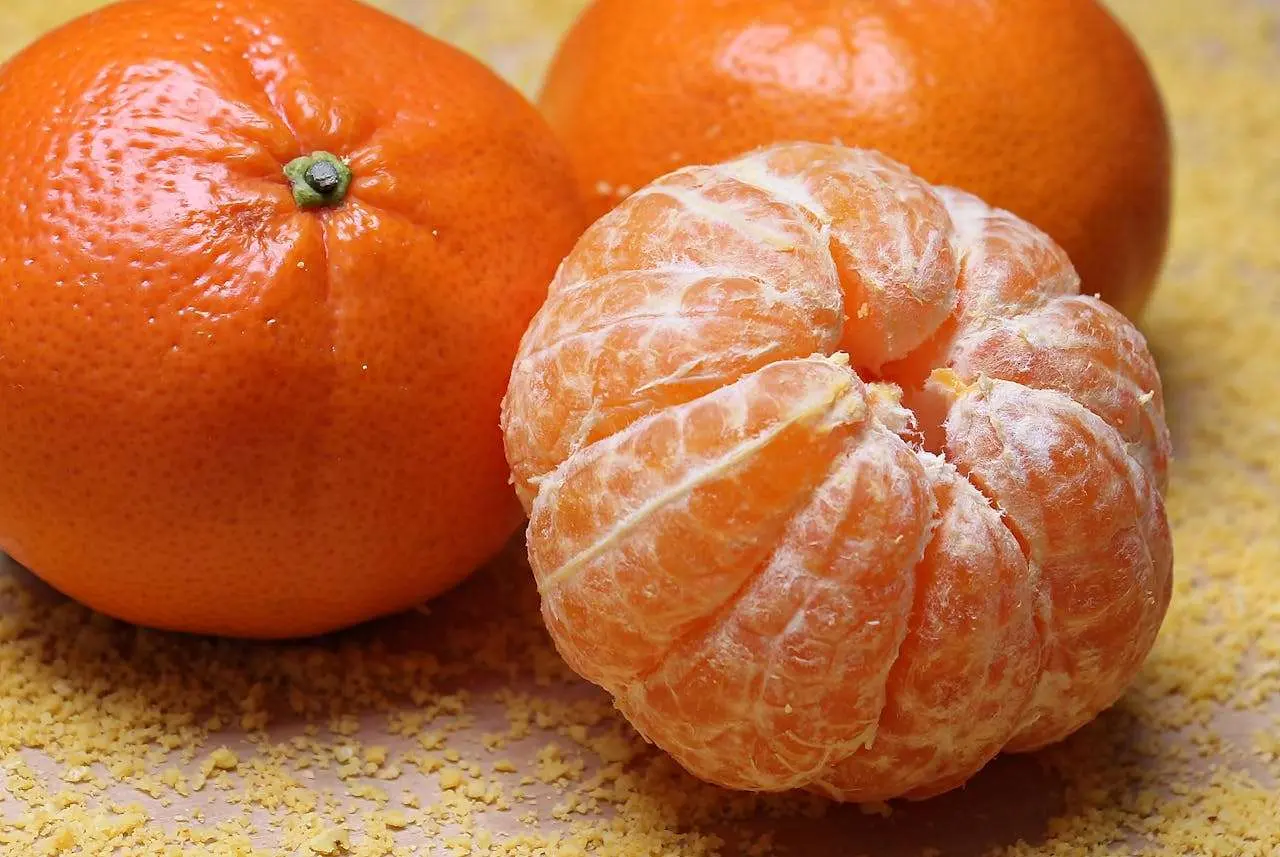 水滴英语小短文，用阅读记住10000单词（水果类主题 orange 橙子，高效记单词）