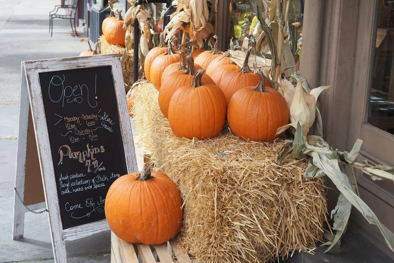 水滴英语小短文，用阅读记住10000单词（蔬菜类主题 pumpkins 南瓜，高效记单词）
