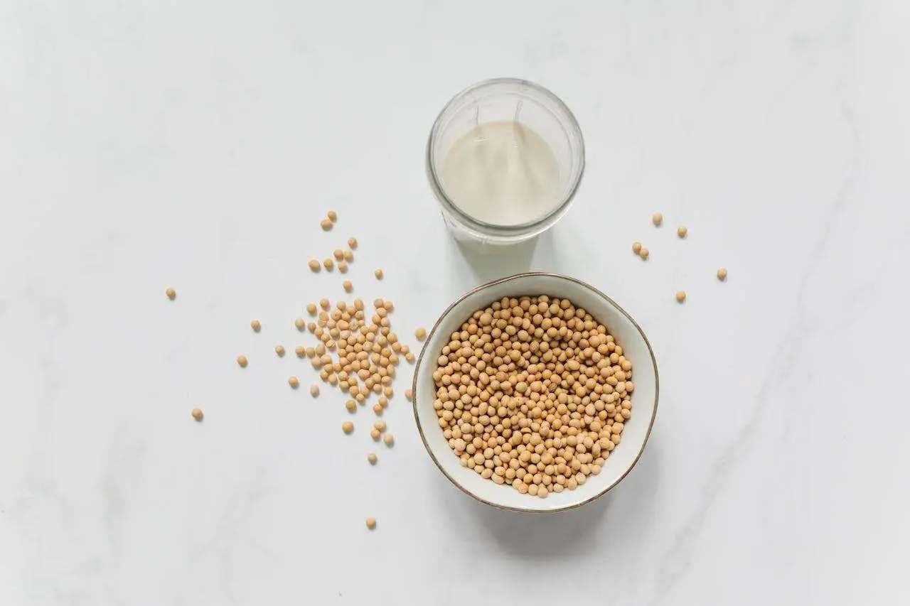 水滴英语小短文，用阅读记住10000单词（奶制品主题 soya milk豆浆，高效记单词）