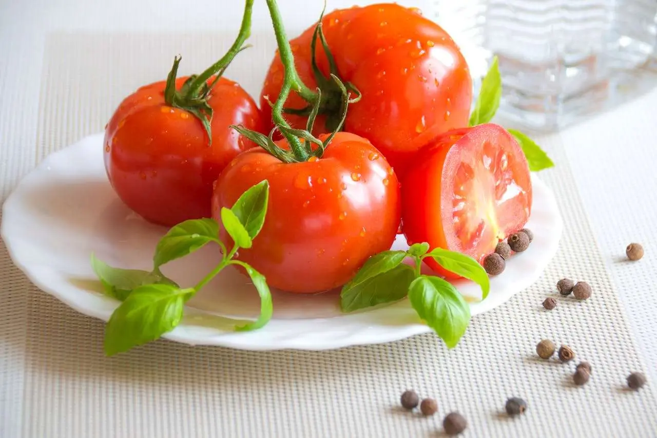 水滴英语小短文，用阅读记住10000单词（蔬菜类主题 tomatoes 西红柿，高效记单词）