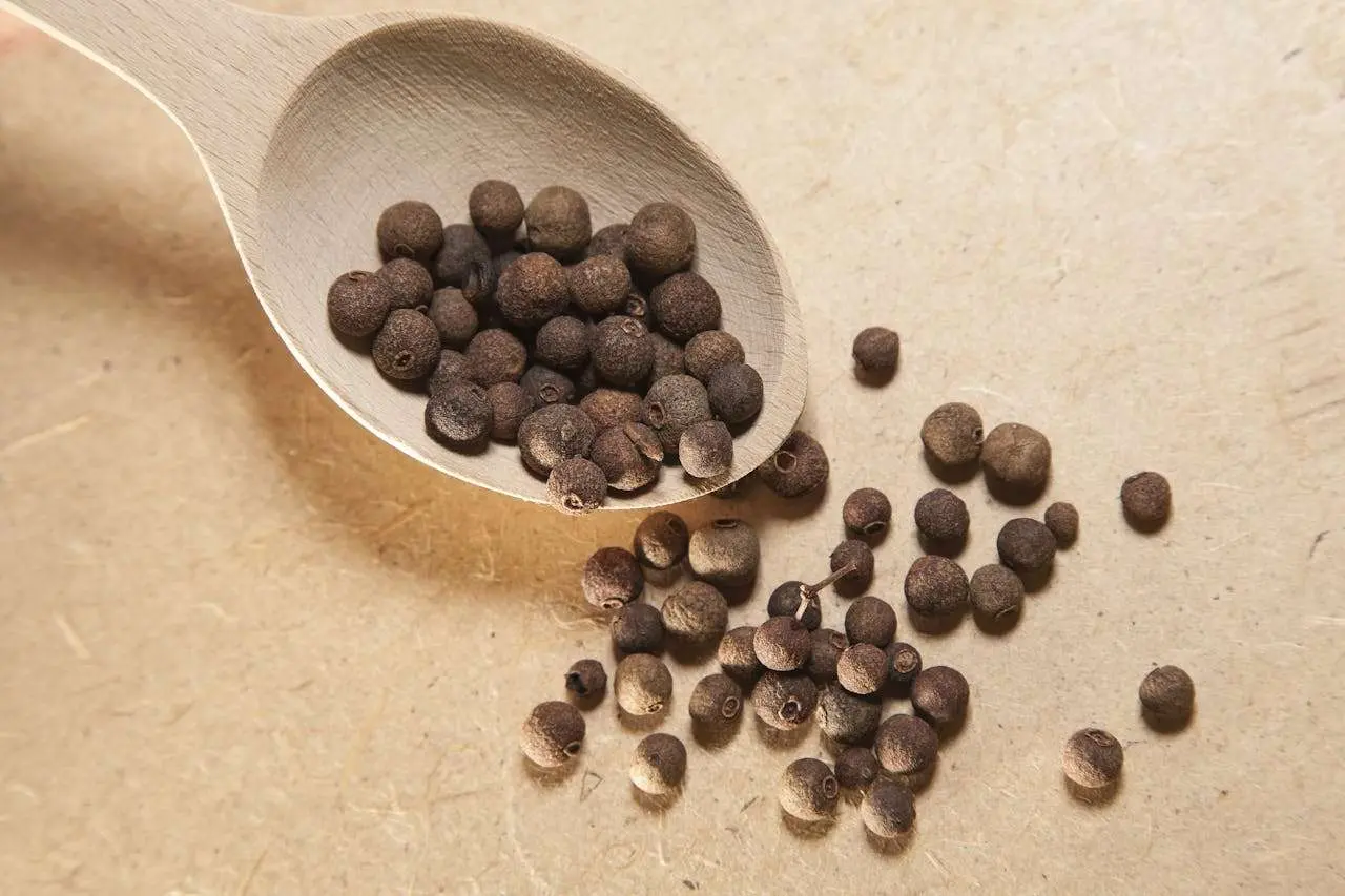 水滴英语小短文，用阅读记住10000单词（香料类主题 allspice多香果，高效记单词）