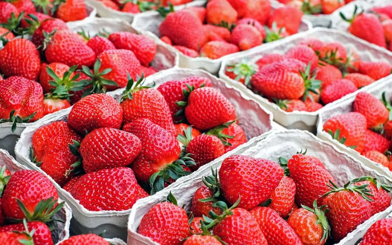 水滴英语小短文，用阅读记住10000单词（水果类主题 strawberry 草莓，高效记单词）