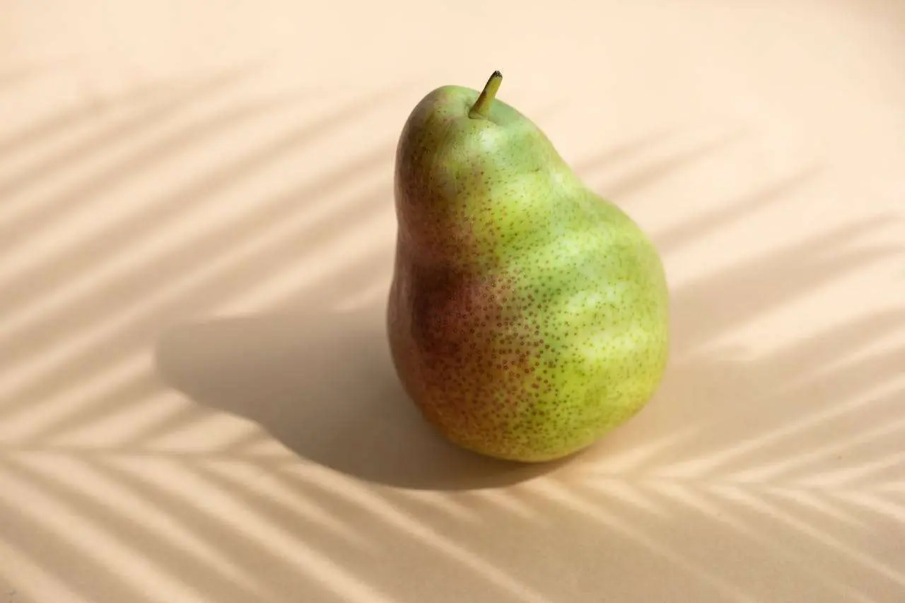 水滴英语小短文，用阅读记住10000单词（水果类主题 pear 梨，高效记单词）