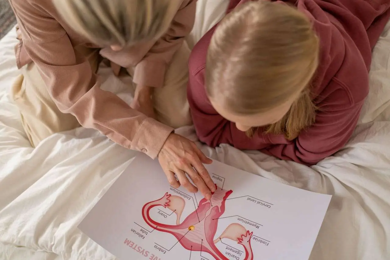 水滴英语小短文，用阅读记住10000单词（人体系统主题 Reproductive system 生殖系统，高效记单词）