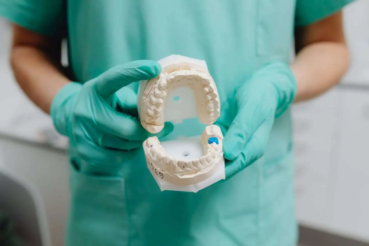 水滴英语小短文，用阅读记住10000单词（牙齿类型主题 Molars 磨牙，高效记单词）