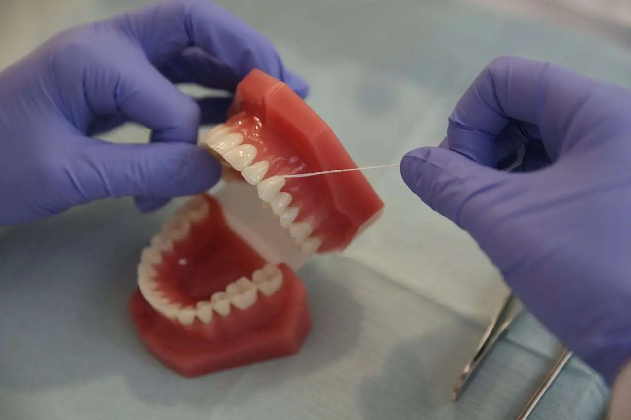 水滴英语小短文，用阅读记住10000单词（牙齿类型主题 Premolars 前磨牙，高效记单词
