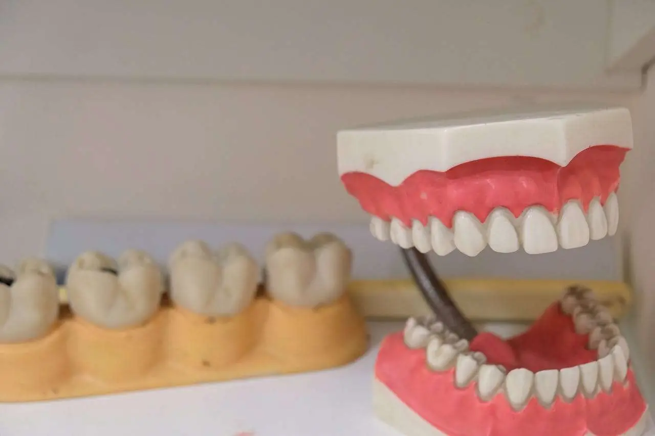 水滴英语小短文，用阅读记住10000单词（牙齿类型主题 Incisors 门牙，高效记单词