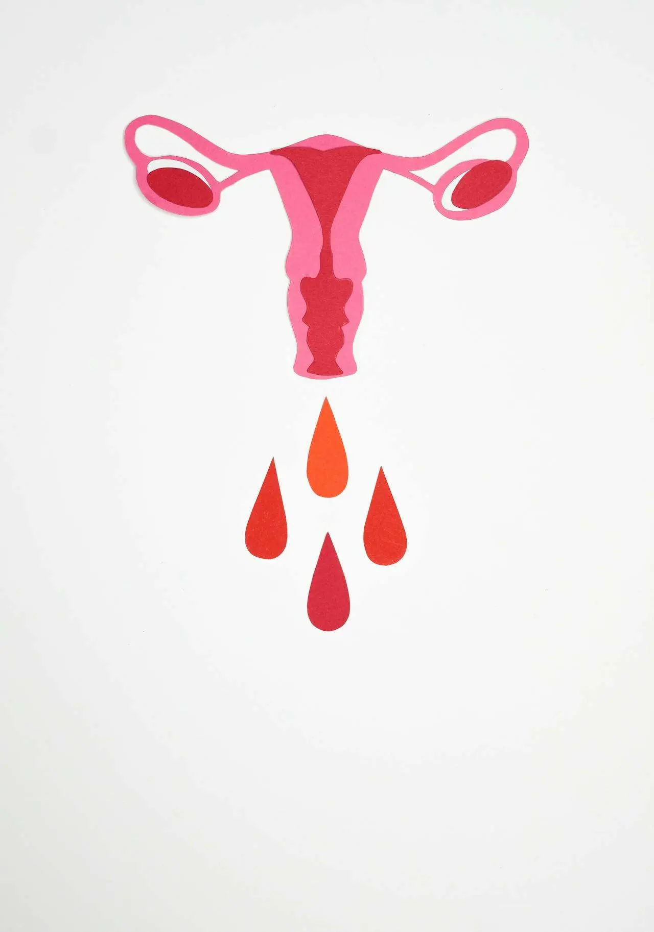 水滴英语小短文，用阅读记住10000单词（人体器官主题 vagina 阴道，高效记单词）