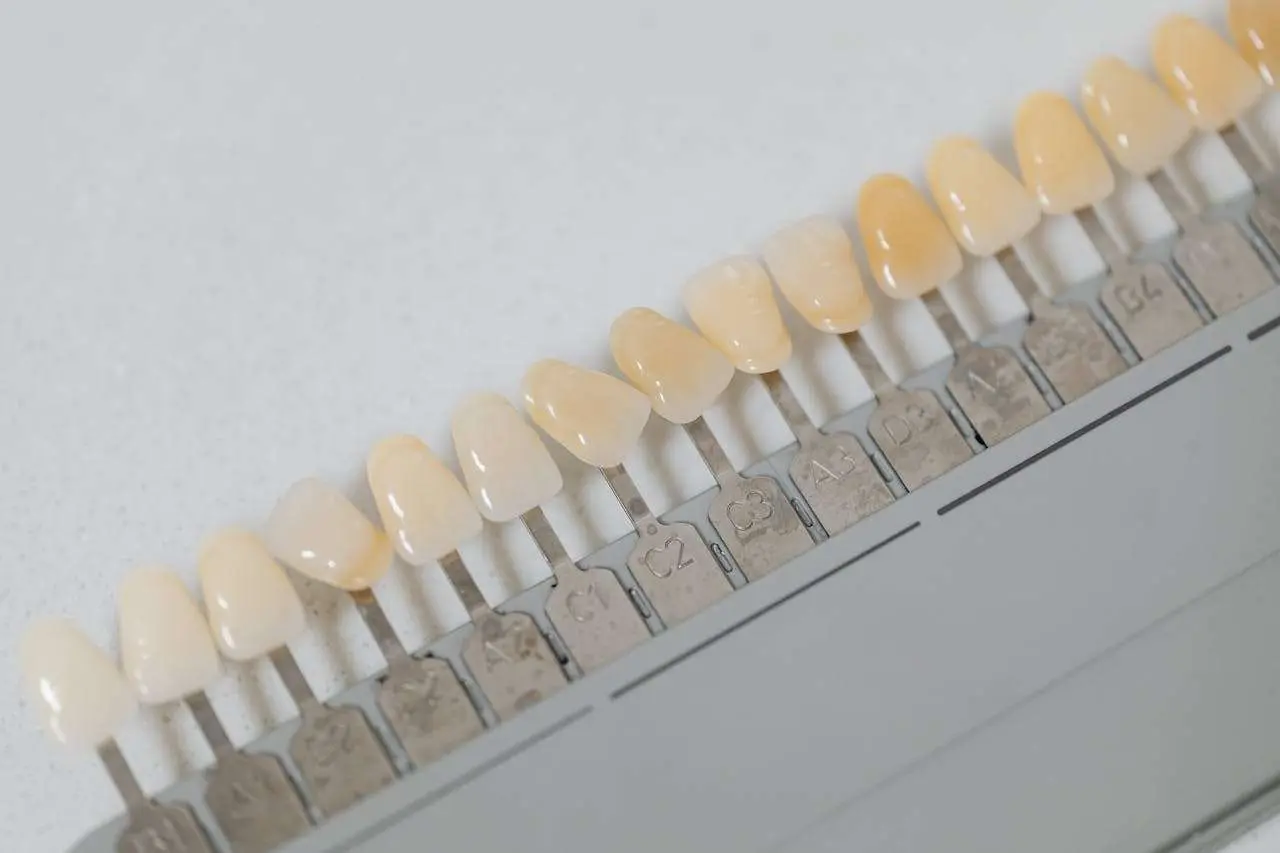 水滴英语小短文，用阅读记住10000单词（牙齿结构主题 Dentin 牙本质，高效记单词）