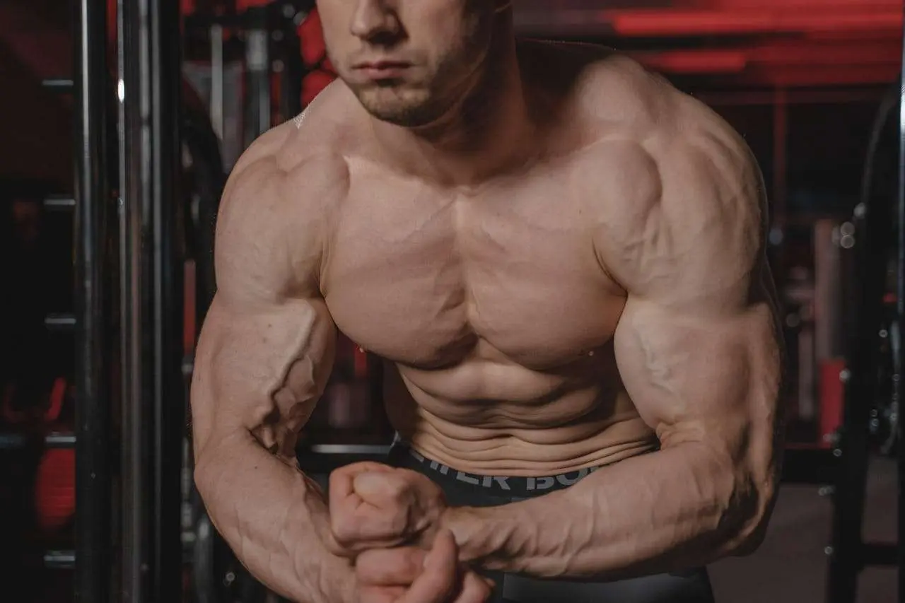 水滴英语小短文，用阅读记住10000单词（人体部位主题 pectoral 胸肌，高效记单词）