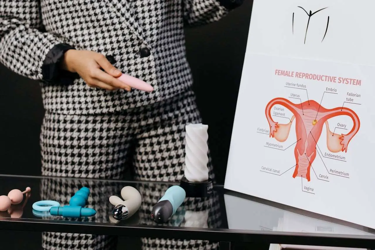 水滴英语小短文，用阅读记住10000单词（人体器官主题 uterus 子宫，高效记单词）
