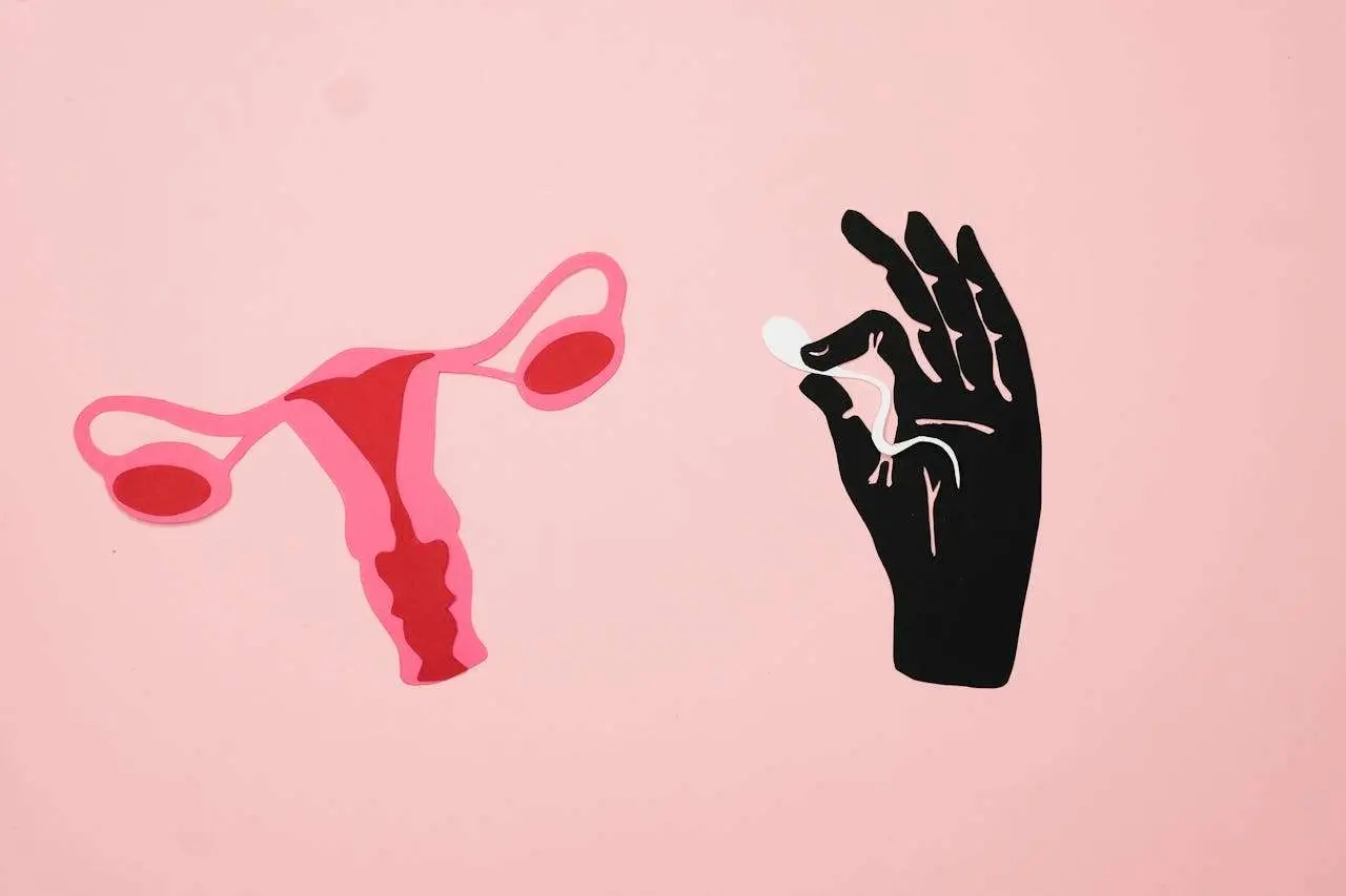 水滴英语小短文，用阅读记住10000单词（人体器官主题 ovary 卵巢，高效记单词）